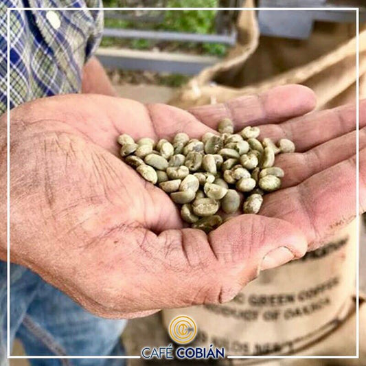 El café regional es una artesanía
