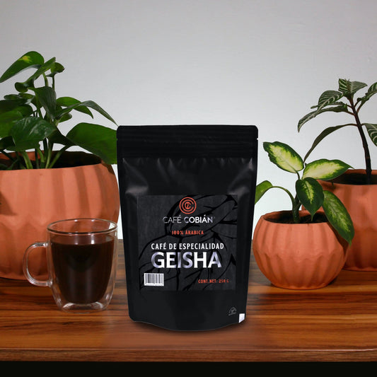 Cafe Geisha de especialidad región Huatusco